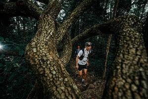 BIB: 
                            <button type="button" onclick="openModal(25699135)" class="btn btn-primary btn-sm float-right btn-popup" data-toggle="modal" data-target=".modal-high-quality">
                        <i class="fas fa-shopping-cart"></i> Add to Cart
                    </button>
                                            <button type="button" onclick="isThisMe(25699135, true)" class="btn btn-success btn-sm float-right btn-popup btn-isme hidden" data-toggle="tooltip" data-placement="bottom" title="นี่คือรูปของคุณใช่ไหม คลิกที่นี่เพื่อเอาเข้าอัลบั้ม">
                        <i class="fas fa-plus"></i> Add to album
                    </button>
                    <button type="button" onclick="isThisMe(25699135, false)" class="btn btn-warning btn-sm float-right btn-popup btn-isnotme hidden">
                        <i class="fas fa-ban"></i> Remove from album
                    </button>